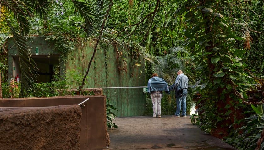 Afrykarium w Zoo Wrocław
