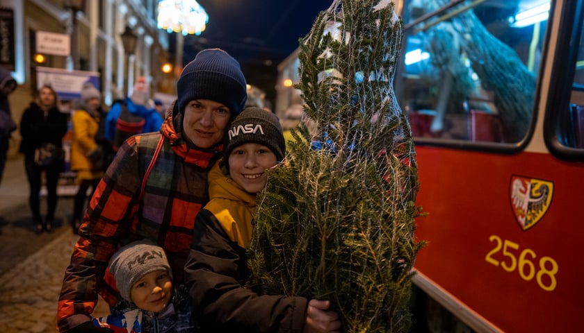 Wrocławianie mogli otrzymać dzisiaj żywe choinki, za darmo! 