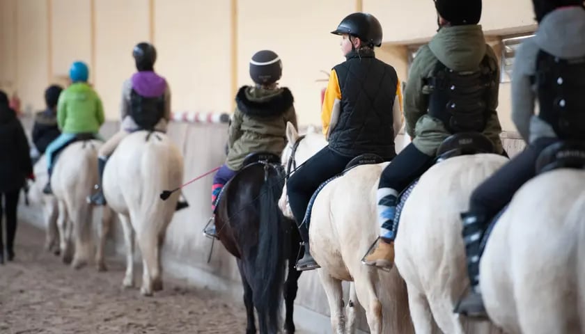 Кінні канікули в Партиніцах. На фото - дівчата шкільного віку, які сидять на конях.