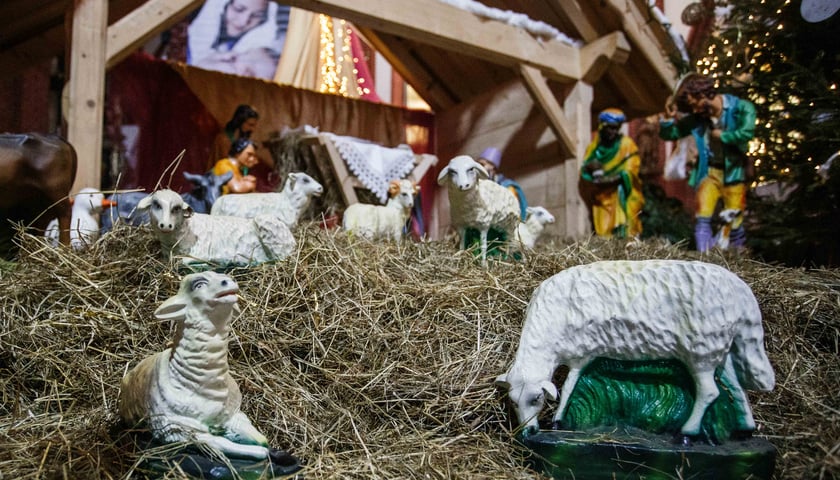 Bożonarodzeniowa szopka w kościele św. Marii Magdaleny