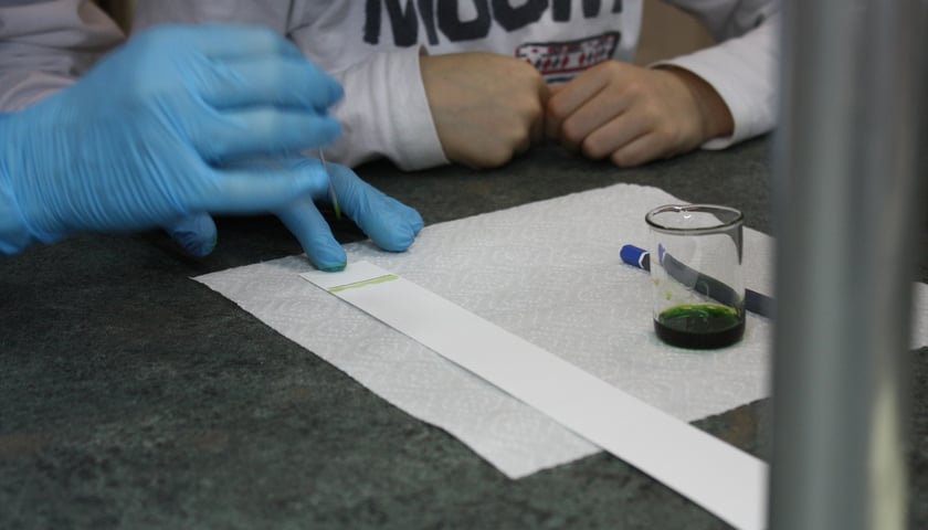 <p>Zajęcia w laboratoriach podczas Nocy Biolog&oacute;w</p>