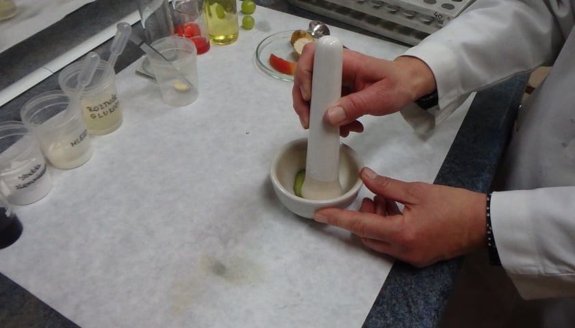 <p>Zajęcia w laboratoriach podczas Nocy Biolog&oacute;w</p>