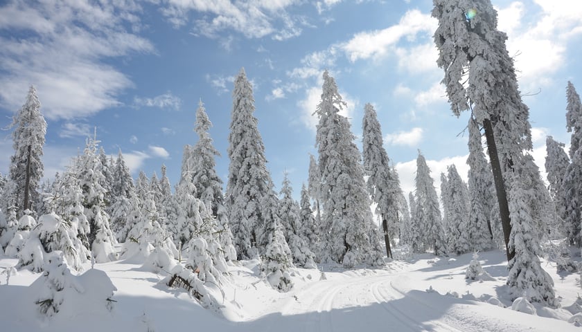 Na zdjęciu zaśnieżona trasa w Górach Bialskich