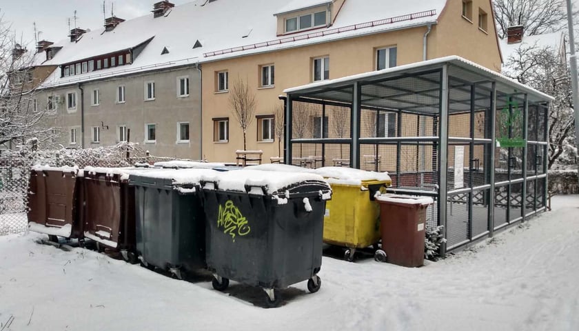 Alejki Olgi Boznańskiej przykryte śniegiem, 16 stycznia 2024