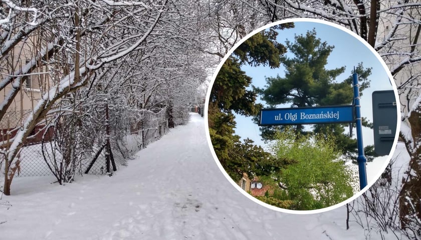 Kolaż dwóch zdjęć. W tle alejki Olgi Boznańskiej przykryte śniegiem, 16 stycznia 2024. W kółku tabliczka z nazwą Olgi Boznańskiej