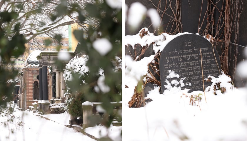 Stary Cmentarz Żydowski w zimowej odsłonie