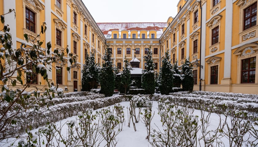 Wirydarz w budynku Wydziału Filologicznego przy pl. Nankiera