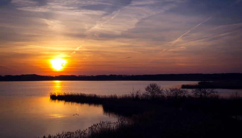 Na zdjęciu panorama Stawów Milickich.