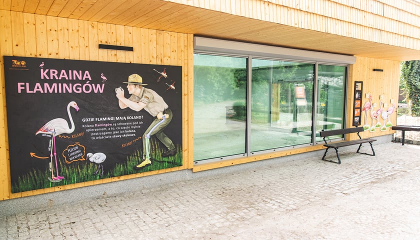 Pawilon flamingów w ZOO Wrocław