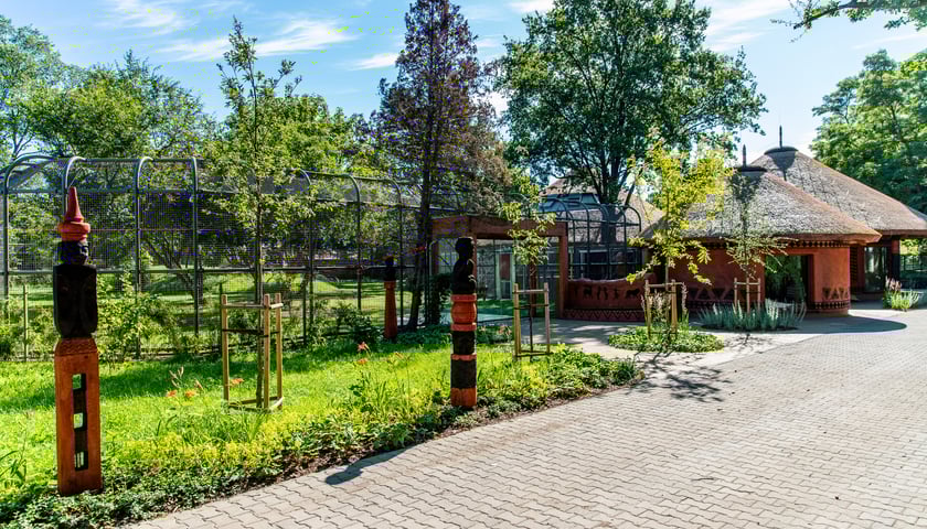 Nowa Lwiarnia w ZOO Wrocław