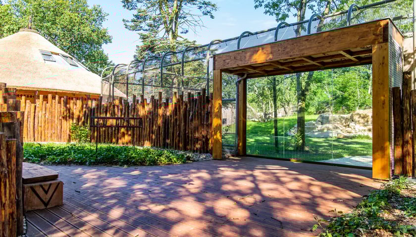 Nowa Lwiarnia w ZOO Wrocław