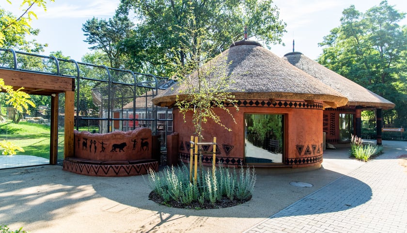 Nowa Lwiarnia w ZOO Wrocław