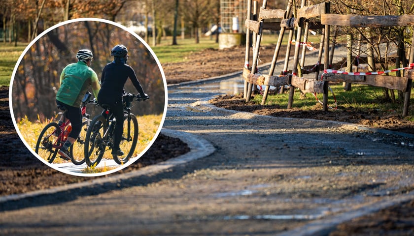 Droga rowerowa przy ul. Koziej. Na zdjęciu w kółeczku - rowerzyści (zdjęcie ilustracyjne)