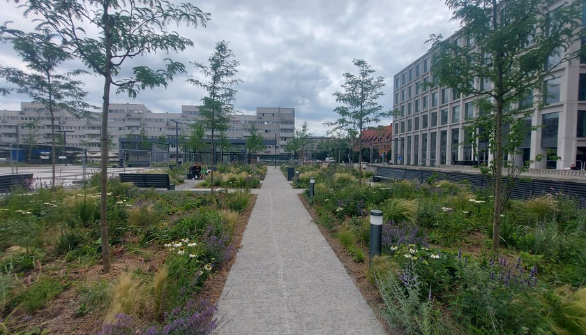 Plac Nowy Targ