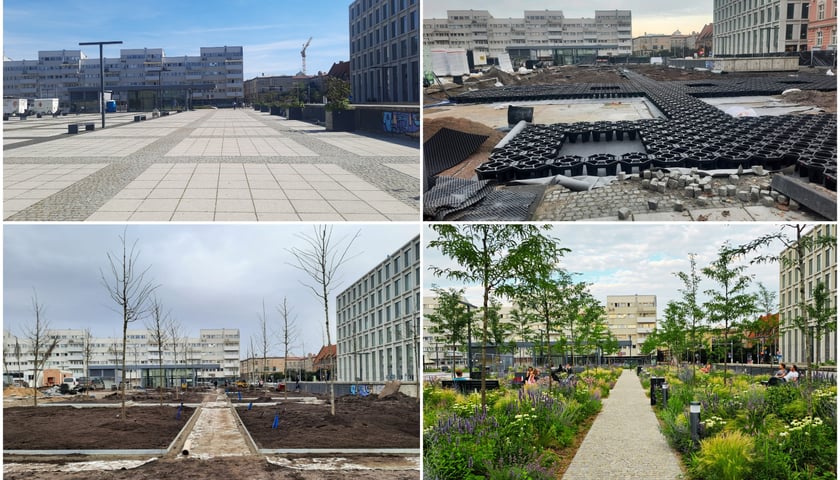 Zielona rewolucja na placu Nowy Targ