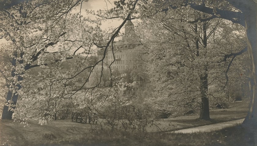 Zamek Książ