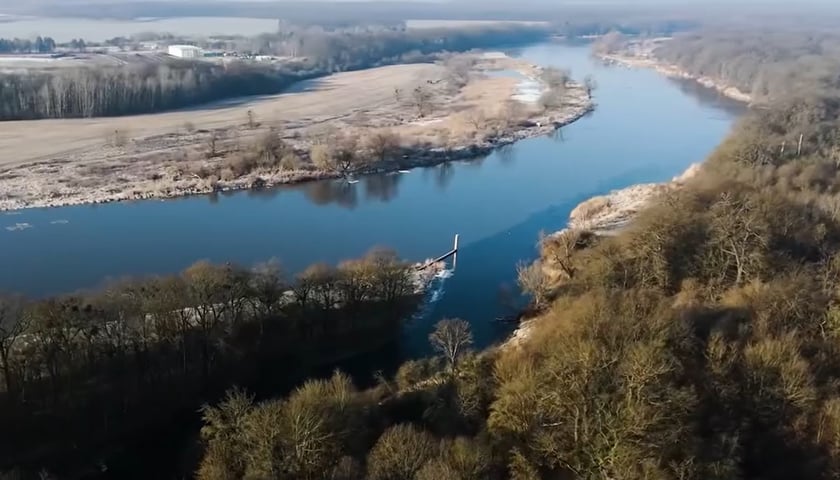 Rzeka i las na północy Wrocławia - widok z góry
