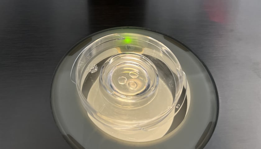 <p>Laboratoium&nbsp;</p>