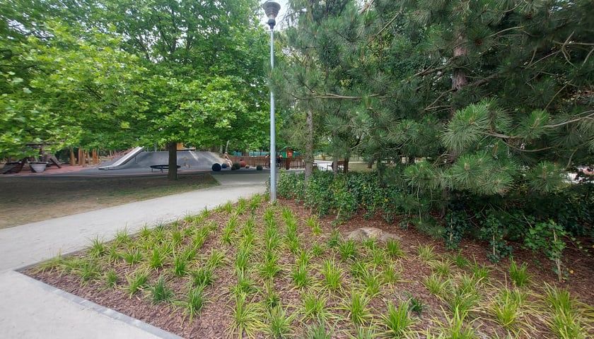 Park Rekreacyjny Mikołowska