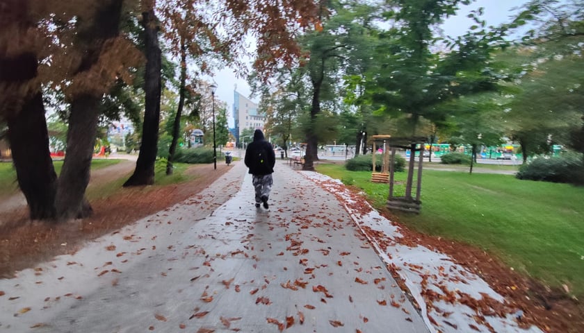 Park Aleksandry Natalii-Świat