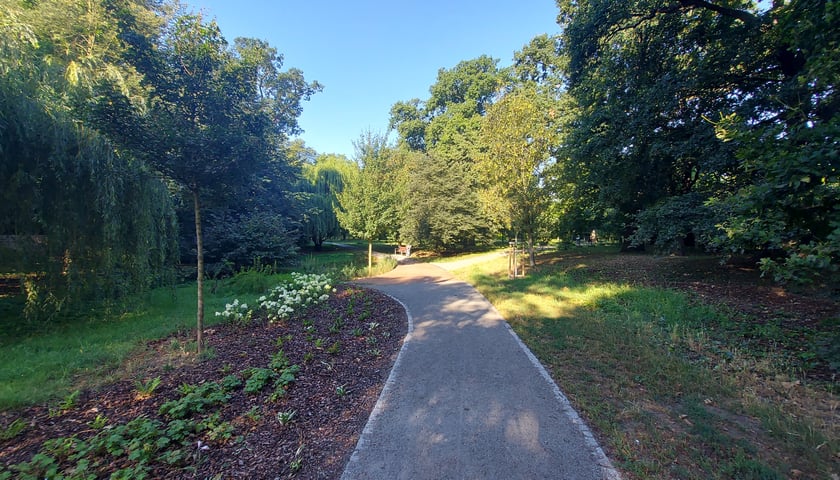 Park przy ul. Łużyckiej/Osobowickiej