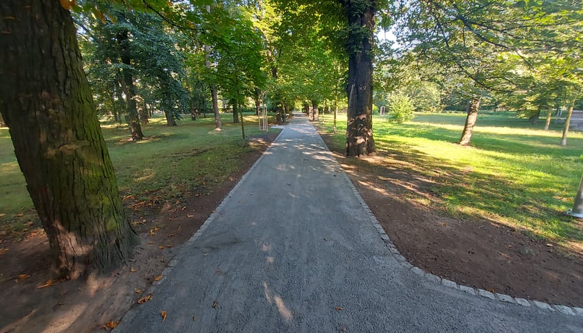 Park przy ul. Łużyckiej/Osobowickiej