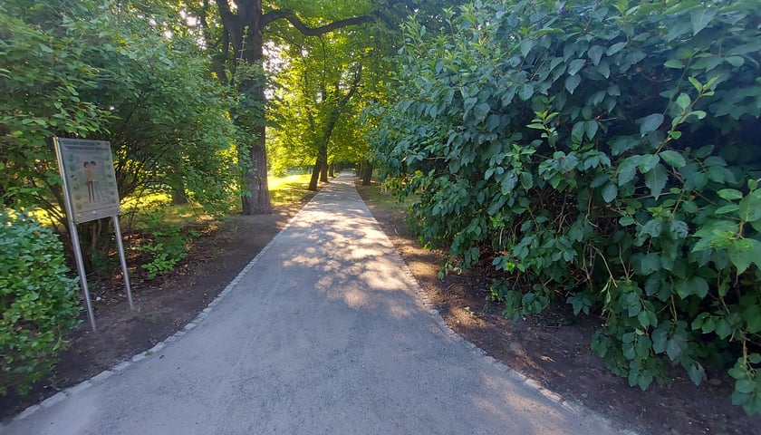 Park przy ul. Łużyckiej/Osobowickiej
