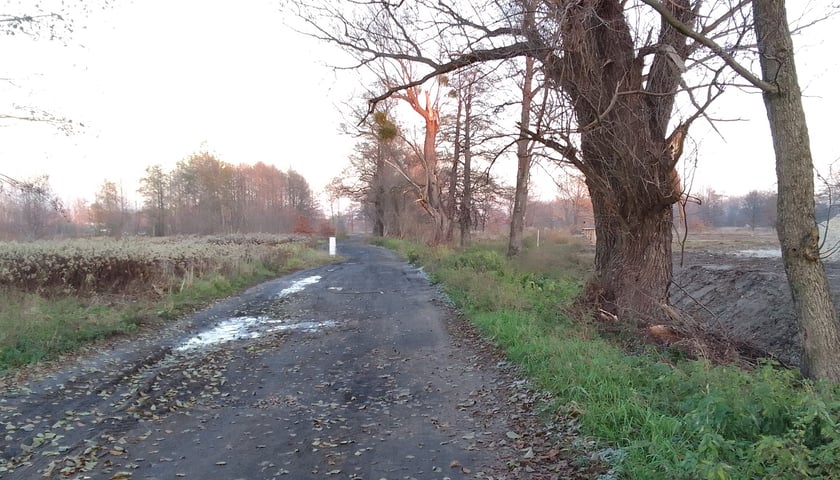 stan istniejący