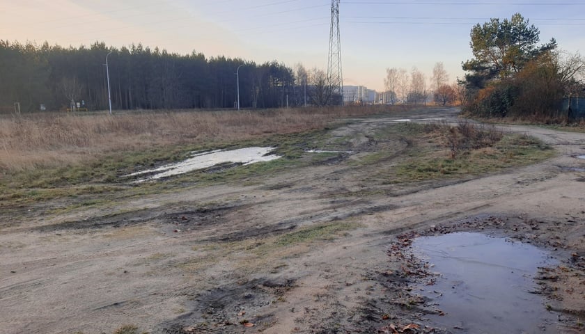 lokalizacja projektowanego kwiecistego skweru