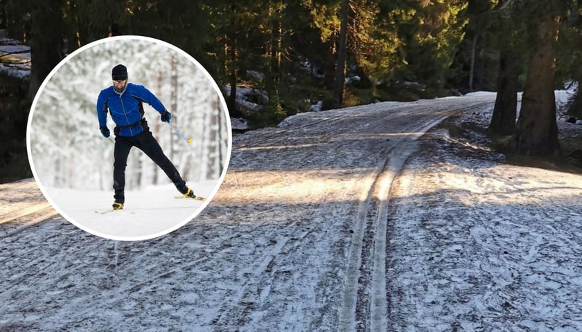 Trasa biegowa w okolicy Jakuszyc, w owalu narciarz