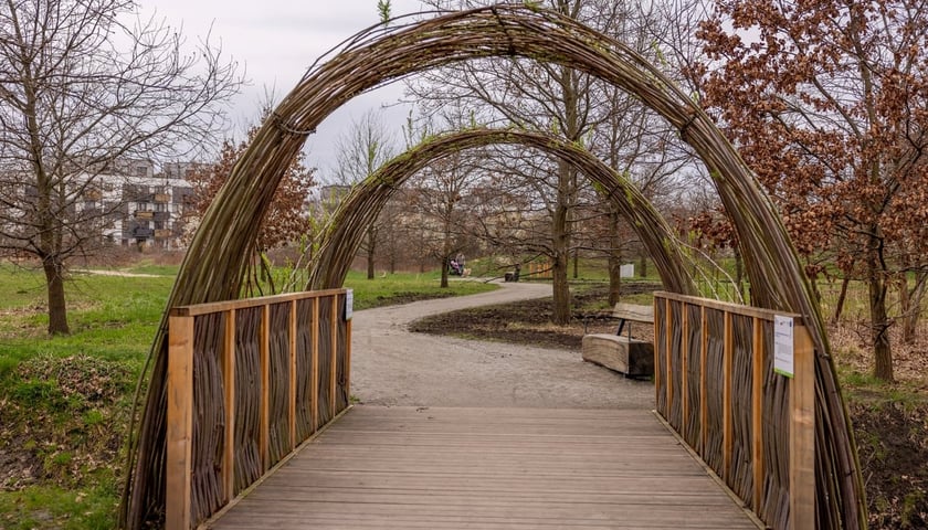 Park Krzycki