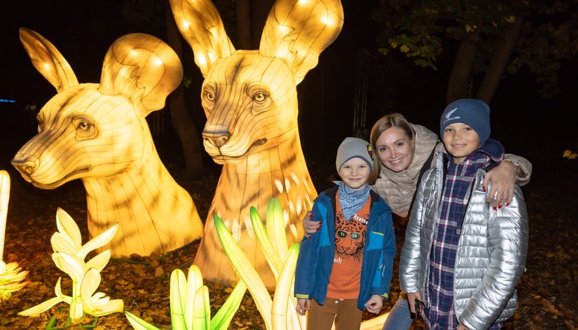 Wystawa Garden of Lights "Dzika Afryka" w zoo Wrocław