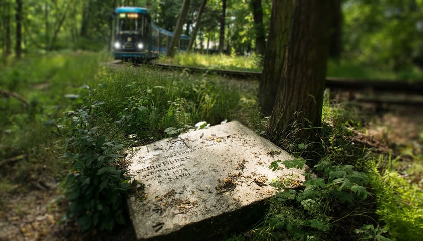 Stela Berthy Bober przy pętli tramwajowej