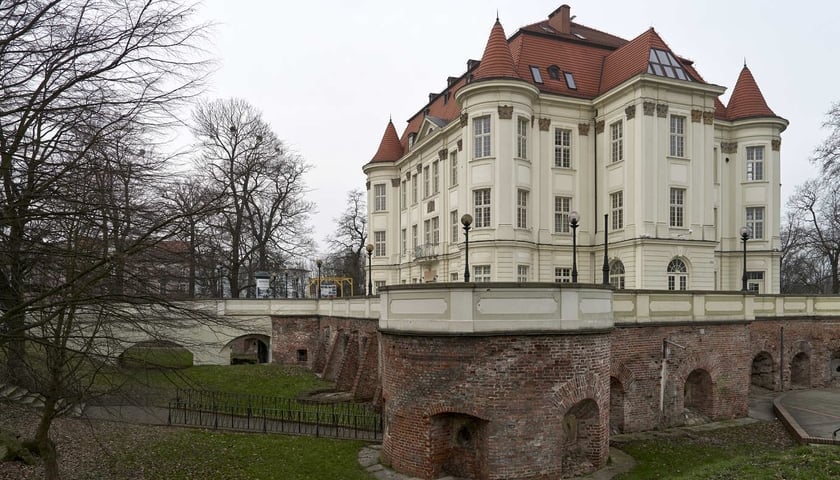 Zamek w Leśnicy