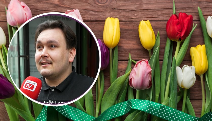 Bukiet kwiatów, a w kółeczku mieszkaniec Wrocławia biorący udział w ulicznej sondzie
