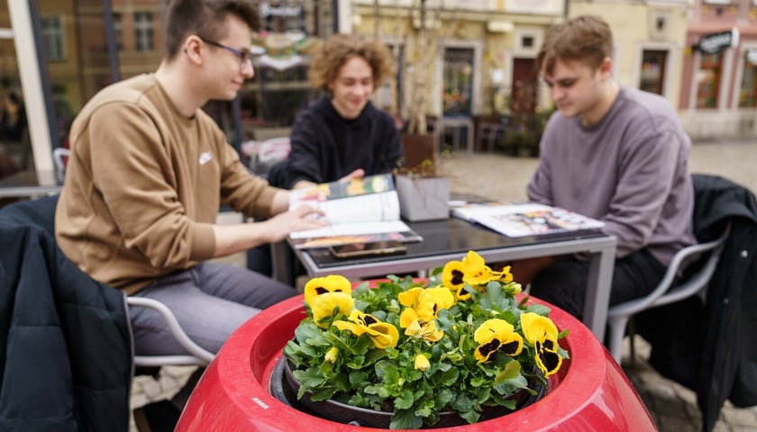 Ogródki gastronomiczne na Starym Mieście we Wrocławiu w marcu 2024. Na zdjęciu trzech młodych mężczyzn przy kawiarnianym ogródku na wrocławskim Rynku, na pierwszym planie kwitnące bratki.