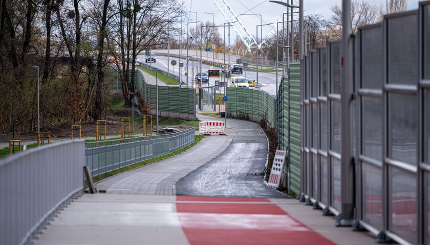 Na alei Wielkiej Wyspy trwa układanie asfaltu na drodze rowerowej. 