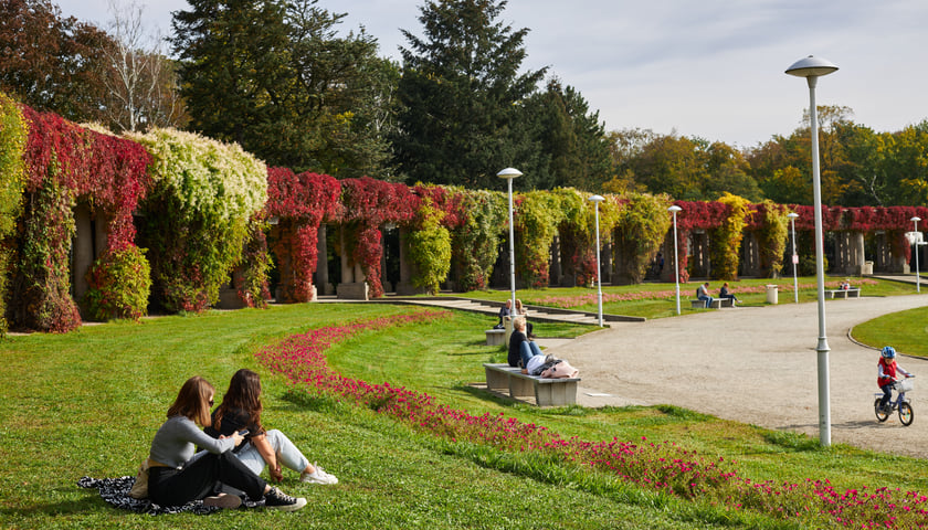 Na zdjęciu ludzie siedzący na trawie w parku Szczytnickim. Zobacz, gdzie warto iść na spacer do parku we Wrocławiu. 