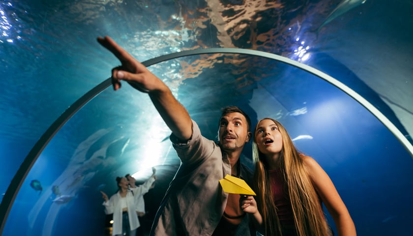 Tunel w Afrykarium we wrocławskim zoo - kadr ze spotu Tajemniczy Dolny Śląsk