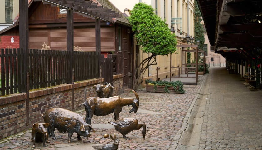 Puste miasto. Wrocław bez ludzi i bez samochodów. 31.03.2024
