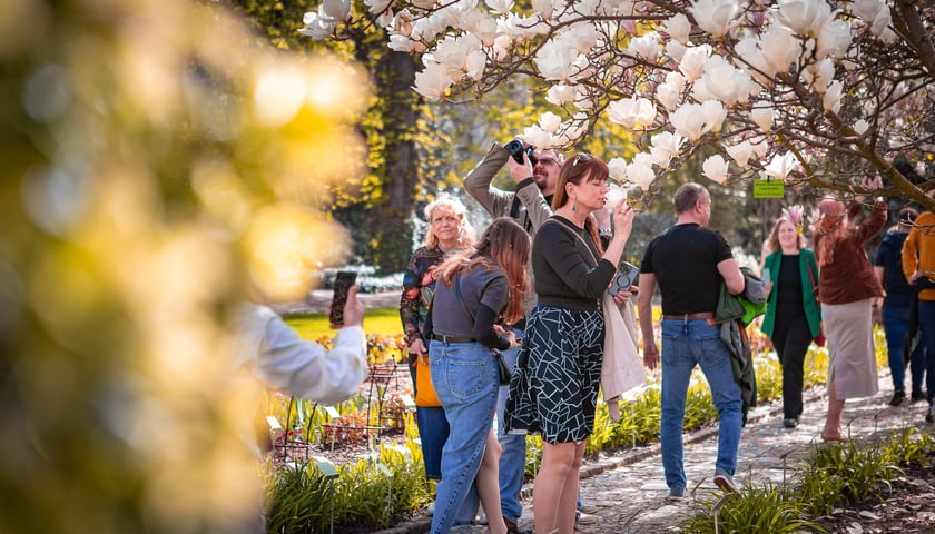 Ogród Botaniczny Uniwersytetu Wrocławskiego zainaugurował dziś nowy sezon.  