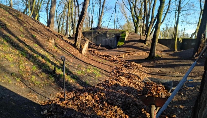 <p>Fort Lisia G&oacute;ra</p>
