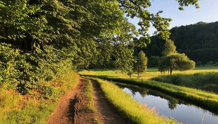 Młynówka pod Wielisławką