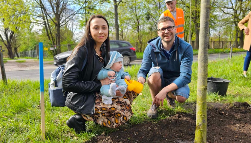 Na zdjęciu rodzice i małe dziecko przy posadzonym drzewku podczas akcji WROśnij we WROcław w parku na Niskich Łąkach