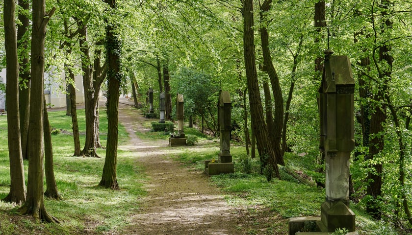 Święte Wzgórze na wrocławskich Osobowicach
