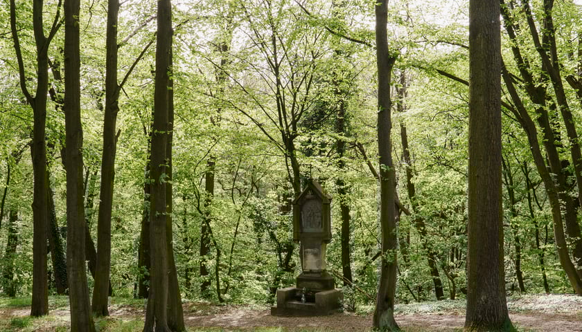 Święte Wzgórze na wrocławskich Osobowicach