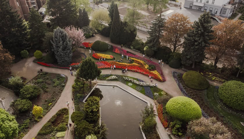 Ogród Botaniczny - widok z drona