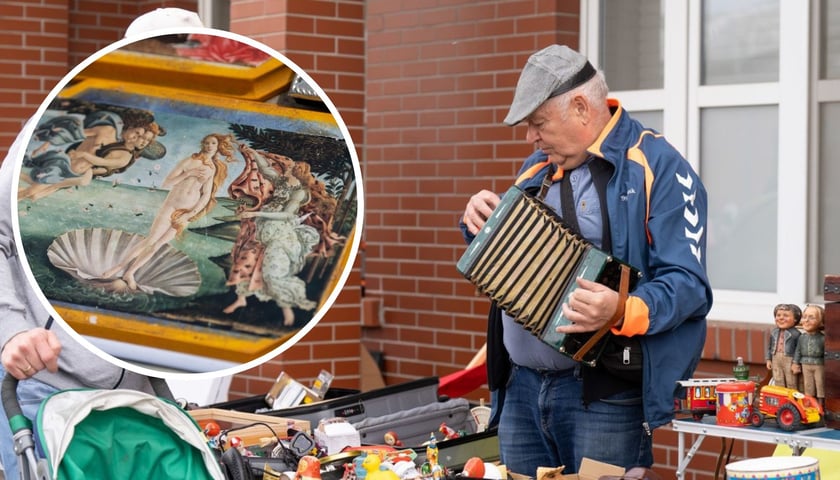 Pchli targ przy Centrum Historii Zajezdnia we Wrocławiu. Z lewej mężczyzna w kaszkiecie gra na akordeonie, z lewej w kółku reprodukcja obrazu "Narodziny Wenus"