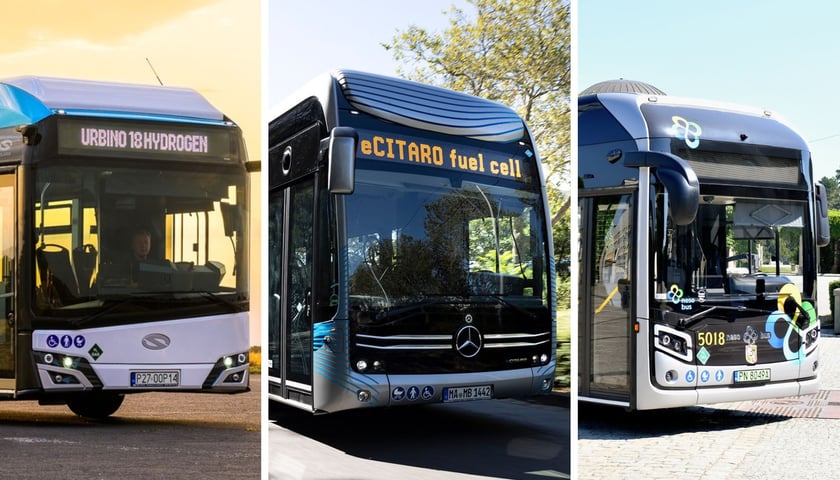 Na zdjęciu są autobusy wodorowe, które testowane będą we Wrocławiu: Solaris, Mercedes i Nesobus. 