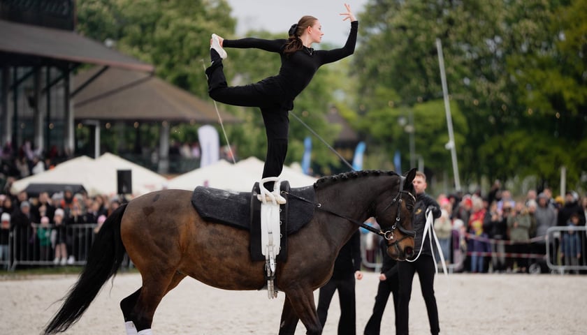 Zawodniczka wykonująca akrobacje na poruszającym się koniu